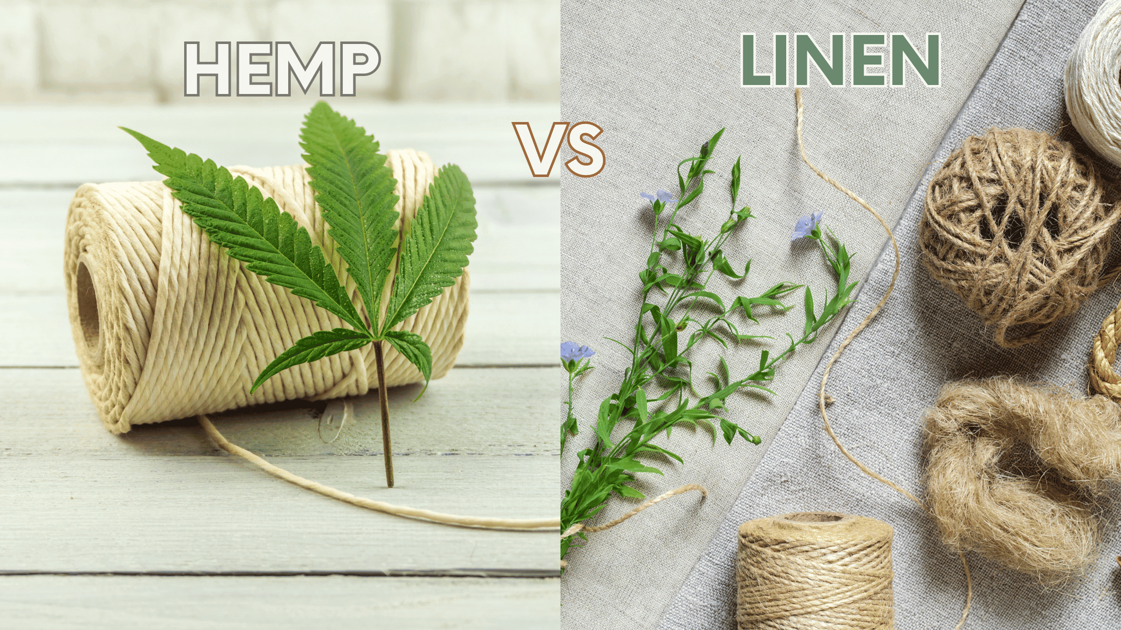 A picture of industrial hemp for textile manufacturing and linen for textile manufacturing